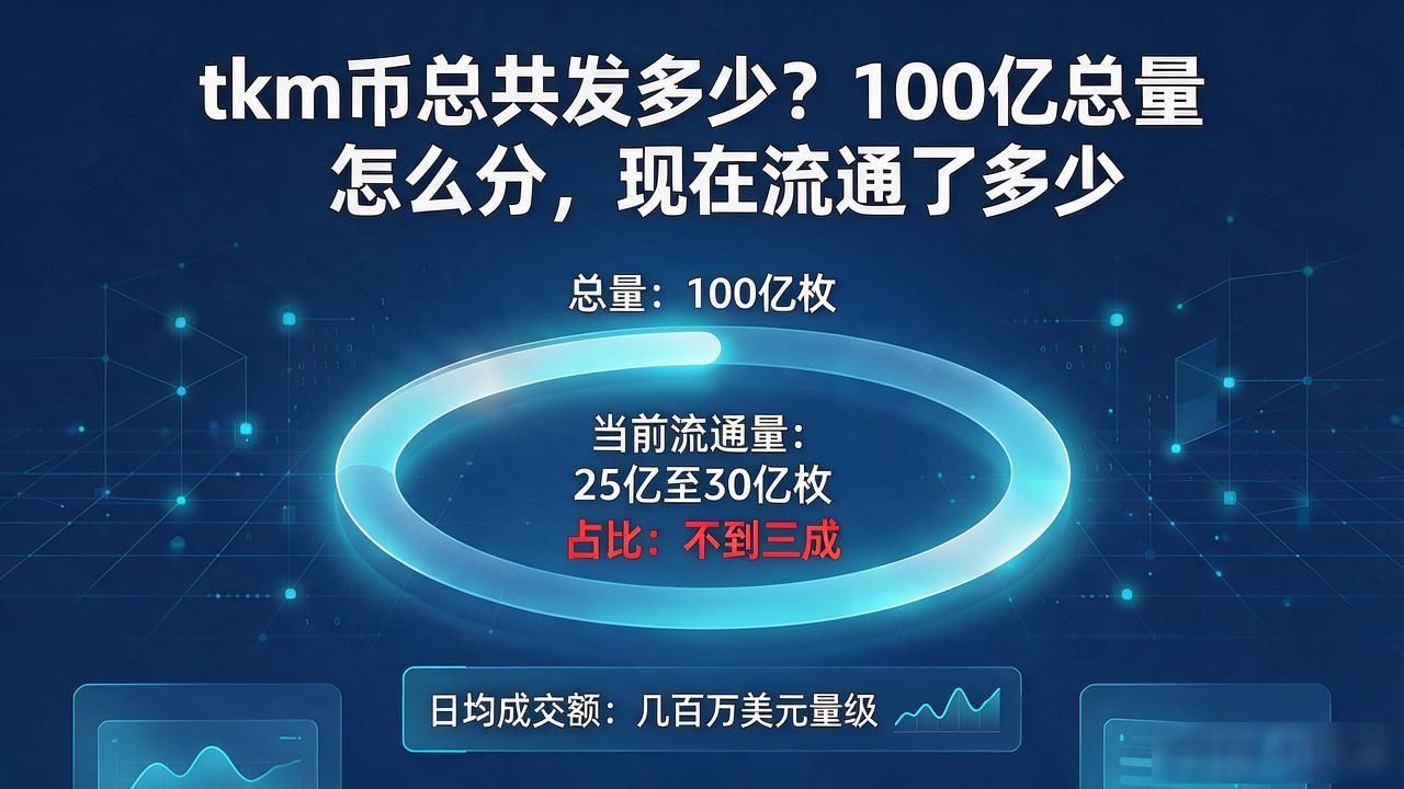 tkm币总共发多少枚？100亿总量怎么分，现在流通了多少